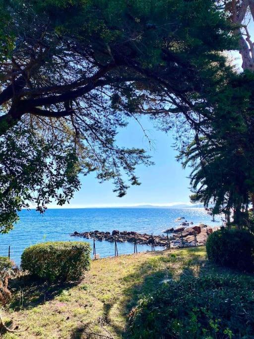 Studio Bord De Mer Boulouris A Saint Raphael Екстер'єр фото